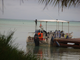 Plongée dans le lagon de Tahaa